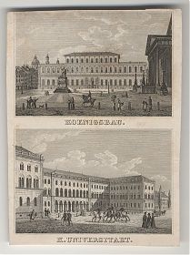 München / Königsbau / Universität : Zwei Stahlstiche, u 1850 - Antiquariat Steutzger