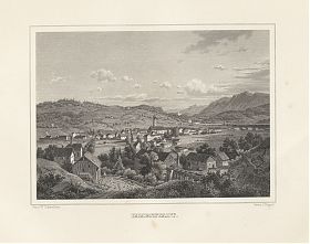 Immenstadt: Stahlstich v. Poppel/Scheuchzer, um 1880 - Antiquariat Steutzger