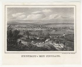  Neustadt a.d. Saale mit Neuhaus : Lithographie, Leinecker, um 1850 / Joseph Steutzger / Antiquar / Buch am Buchrain & Wasserburg am Inn